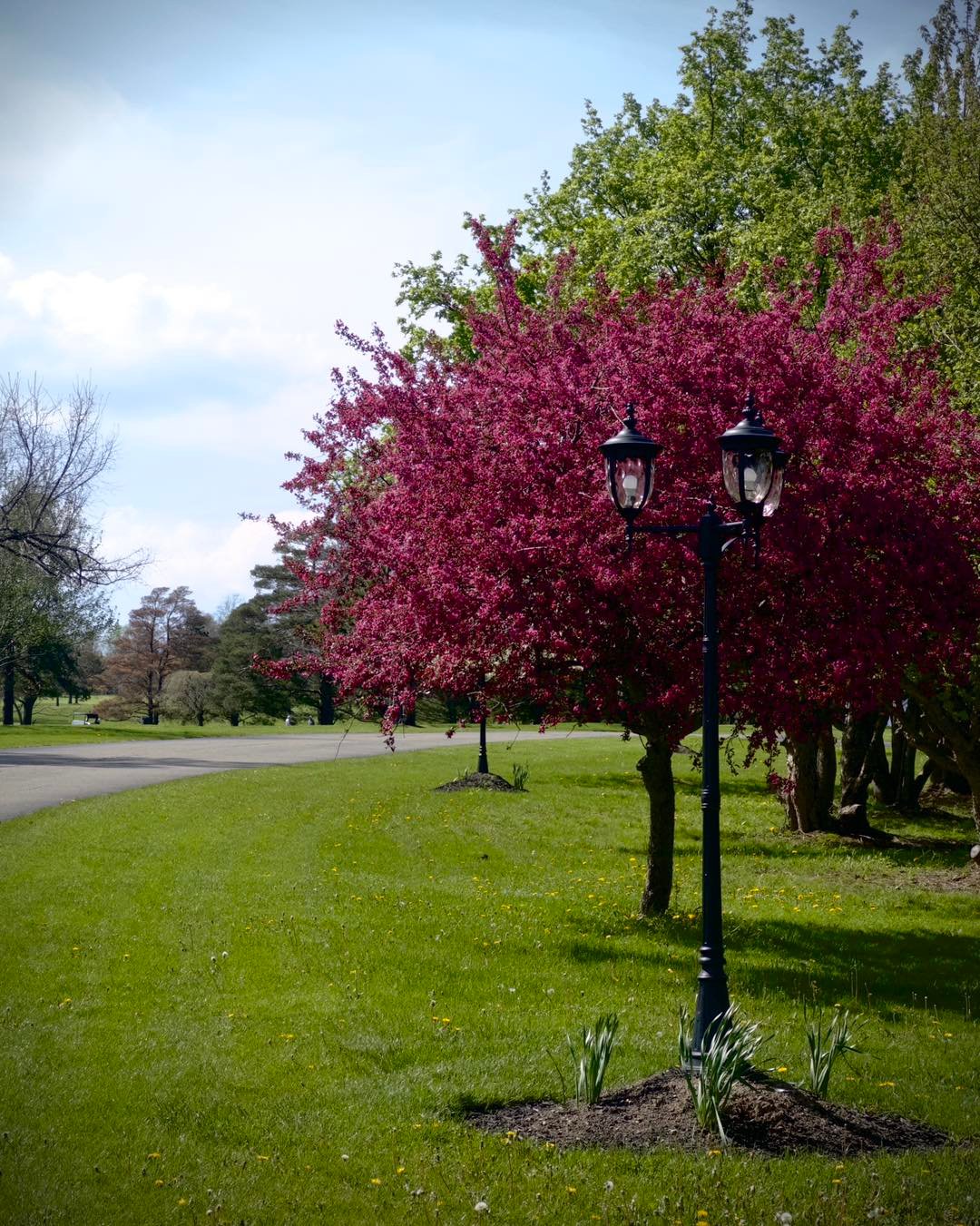 Moon Brook Country Club
